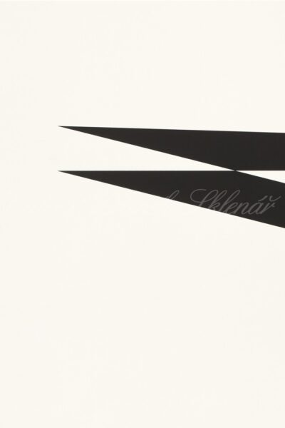 VLADIMÍR KOPECKÝ – ZVĚSTOVÁNÍ