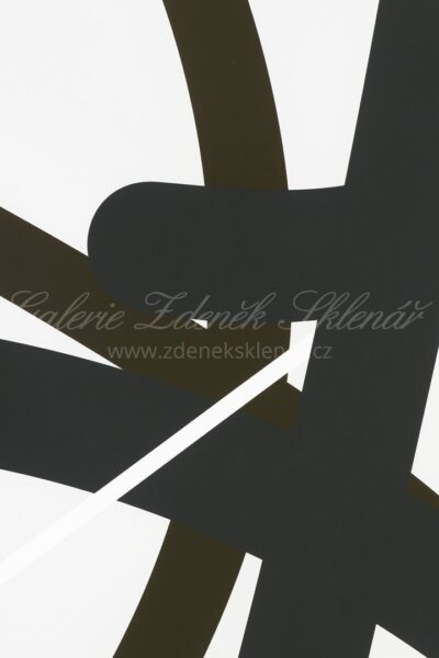 ZDENĚK SÝKORA – LET 2345